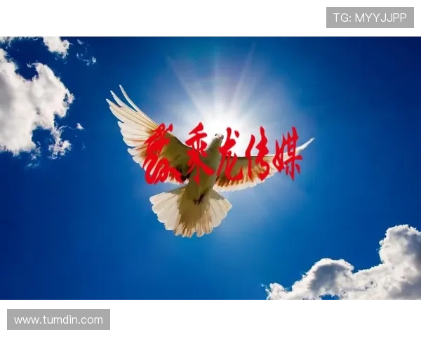 利来国际ag集团：技术创新推动在线娱乐体验不断升级与优化