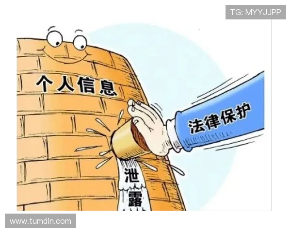 ag旗舰厅官网手机版安全隐私保护措施全面升级用户个人信息安全保障